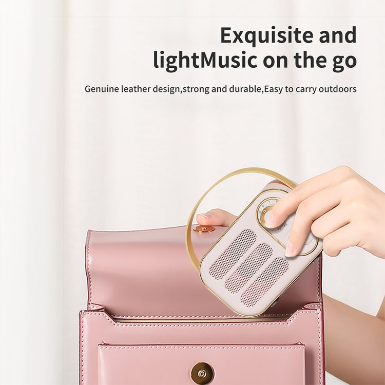 Futustar DW13 - Enceinte Bluetooth Rétro Portable | Son HiFi & Design Vintage