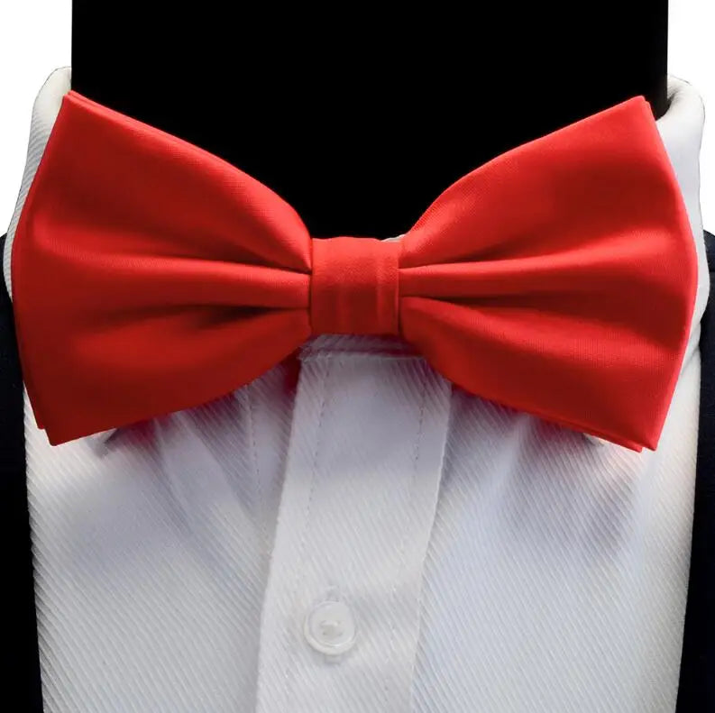 Nœud Papillon en Soie Pré-attaché pour Homme | Mariage & Business