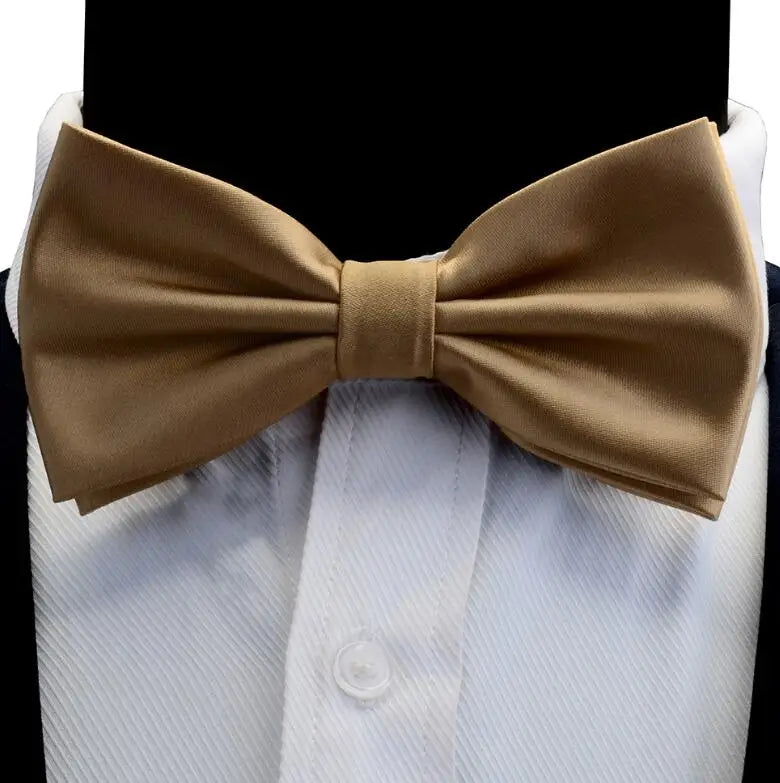 Nœud Papillon en Soie Pré-attaché pour Homme | Mariage & Business