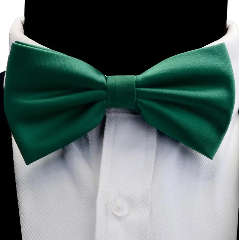 Nœud Papillon en Soie Pré-attaché pour Homme | Mariage & Business