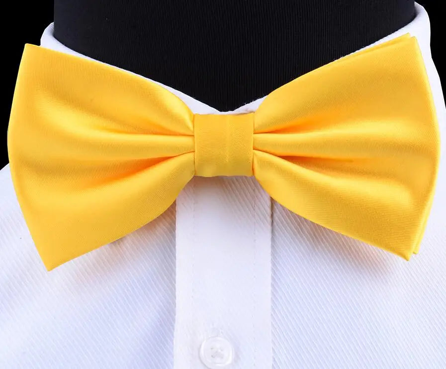Nœud Papillon en Soie Pré-attaché pour Homme | Mariage & Business