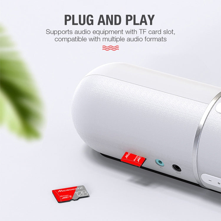 MICRODATA Carte mémoire TF(Micro SD) Classe 10 Rouge et Gris 128 Go