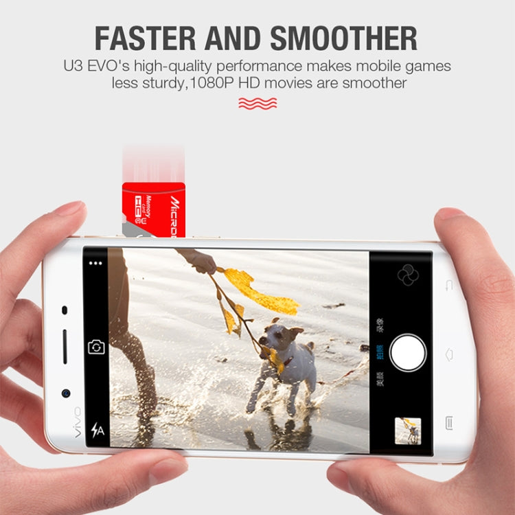 MICRODATA Carte mémoire TF(Micro SD) Classe 10 Rouge et Gris 256 Go