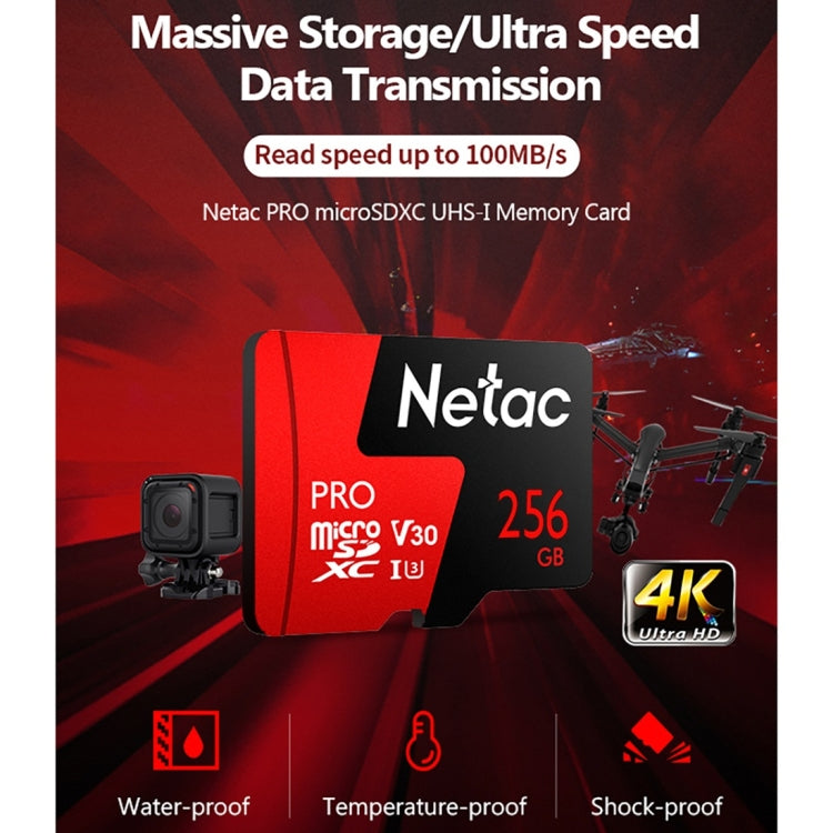 Netac P500 PRO 256GB U3 carte mémoire micro SDXC, haute vitesse de transfert